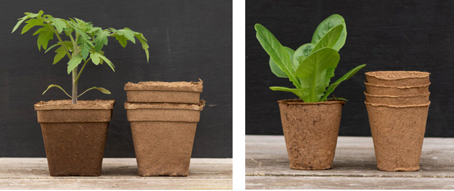 Biodegradable & Compostable Plant Pots